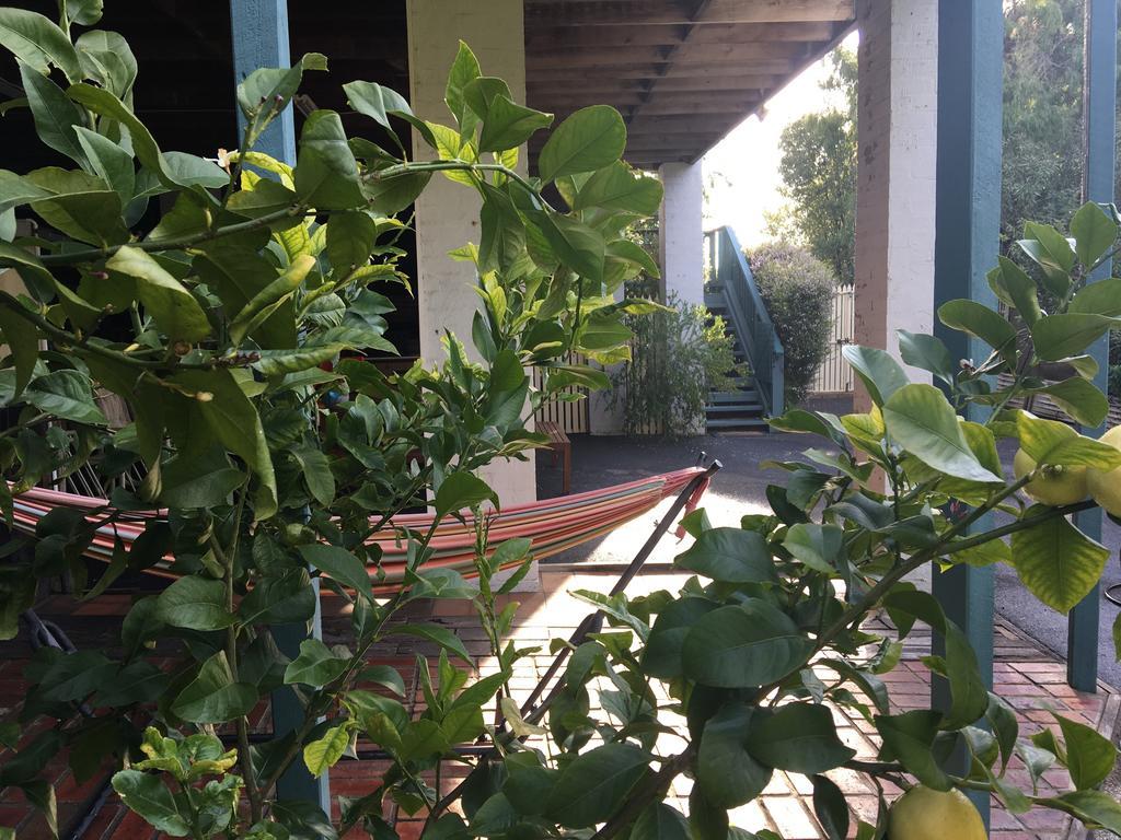 奈斯特昂阿克瑞斯特度假屋 莱伊 外观 照片